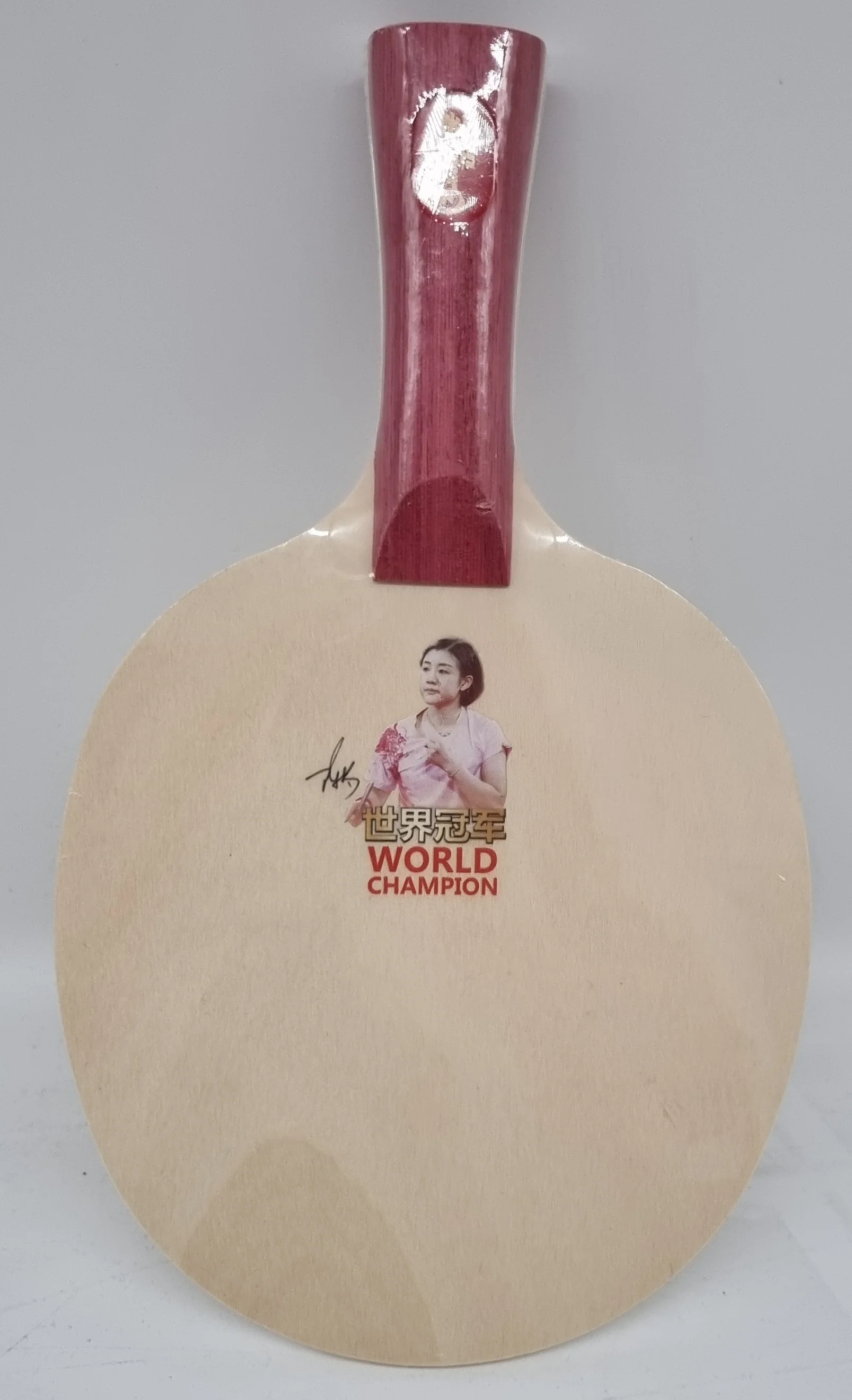 DHS Signierholz Chen Meng Paris 2024 Ltd. - SC-4C - Image 3