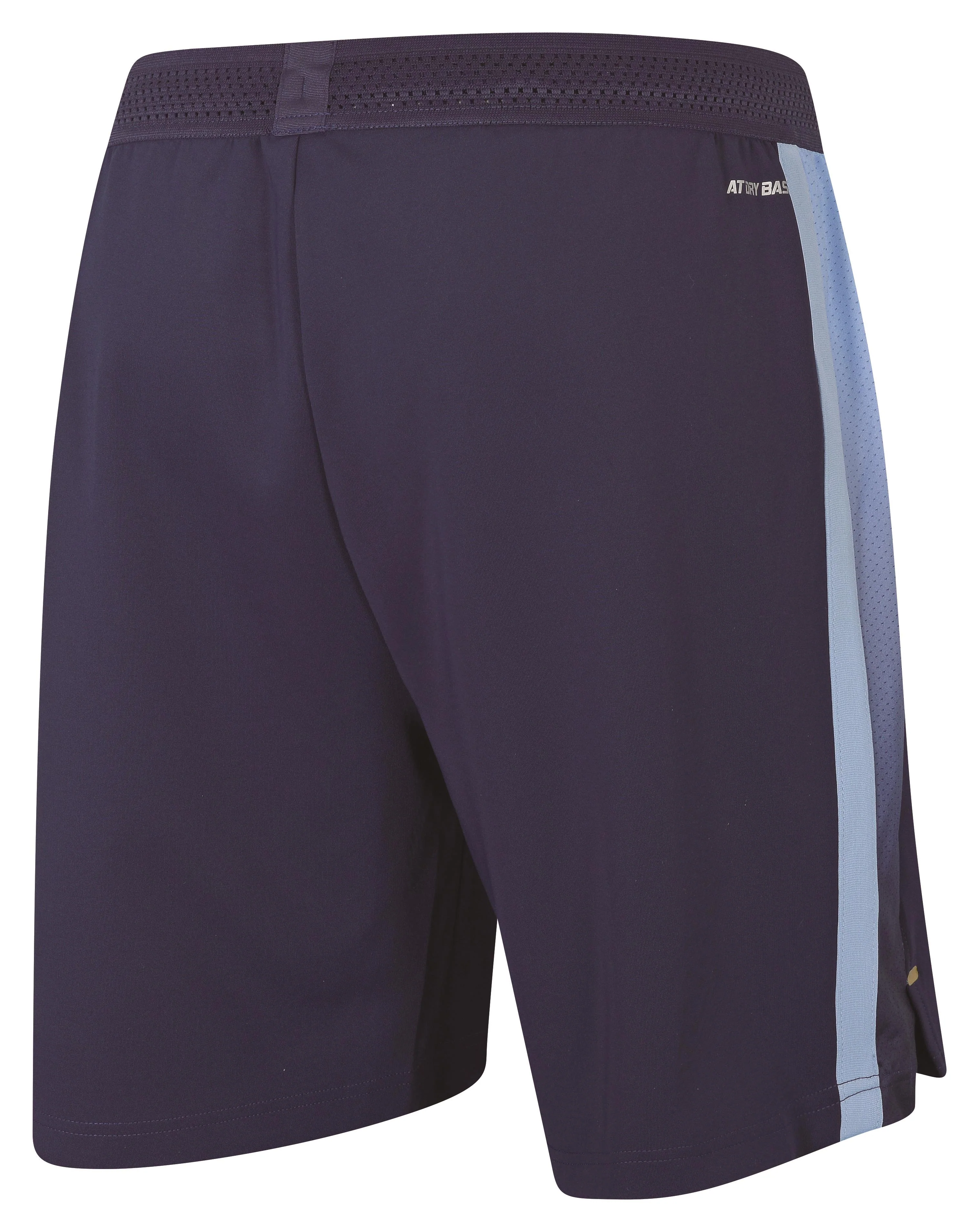 Herren Short "International Players 2023" limited blau - AAPS133-4 - Image 4